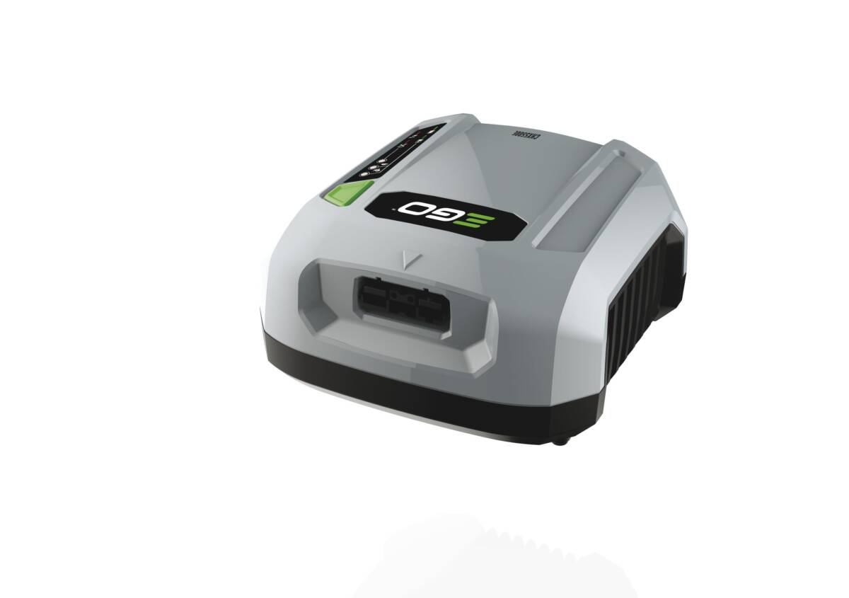 Chargeur Professionnel CHX5500E Ego Strasbourg